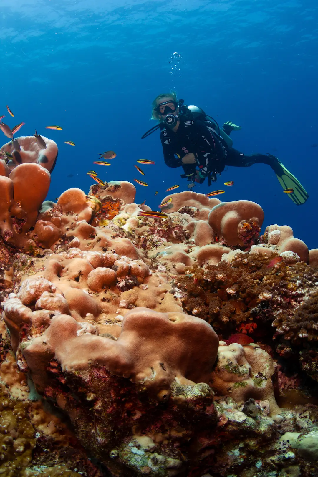 Islas de Afuera Coiba Island Golfo de Chiriquí