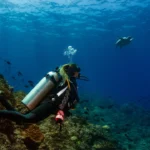 Islas de afuera Coiba Island Golfo de Chiriquí