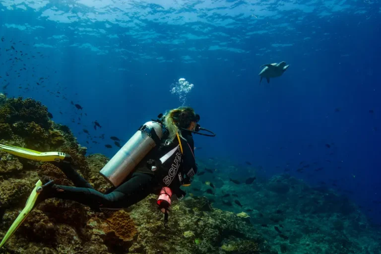 10 Días de Buceo en Bocas del Toro y Coiba: Una Aventura Submarina Inolvidable en Panamá 1 Islas de afuera Coiba Island Golfo de Chiriquí