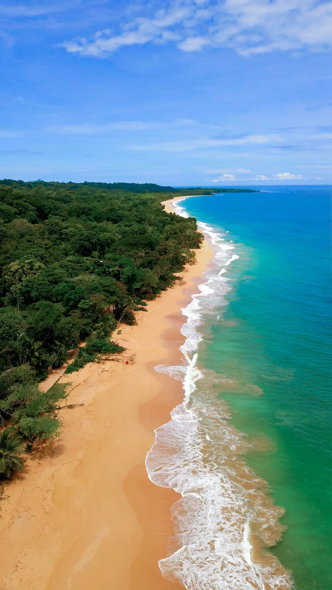 Playa Bluff Bocas del Toro Panamá