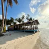 San Blas: Tour Full Day con Traslados